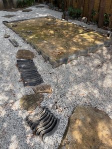 IMG_0699